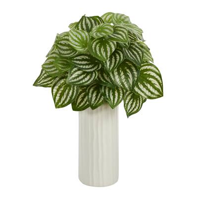15" Watermelon Peperomia Plant in White Planter (Real Touch)
