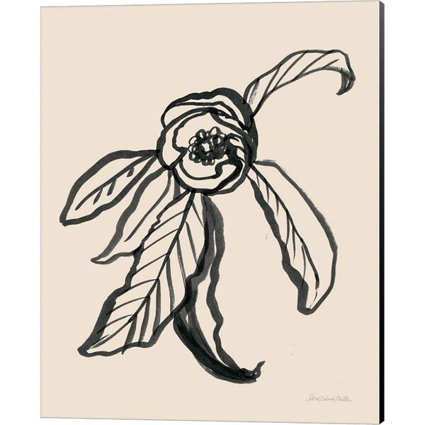 sheve絵画 Sara Zieve Miller 'Ink Sketch Flower' Canvas Art - Bed Bath