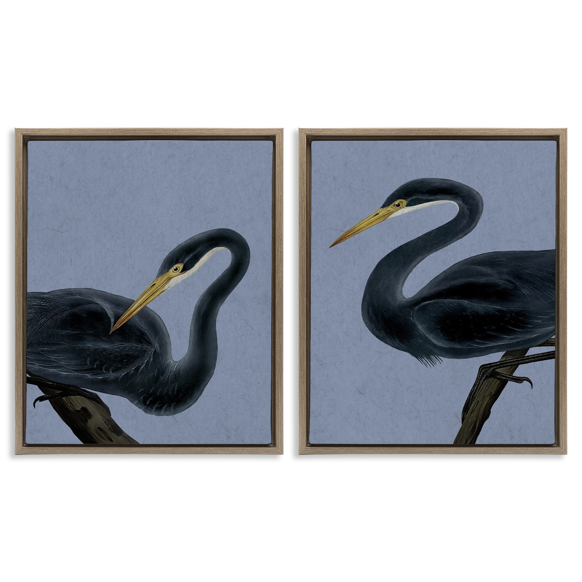 Stupell Black Heron Birds Framed Floater Canvas Wall Art Design By Grace Popp (Set of 2)