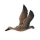 preview thumbnail 6 of 5, Set of 3 Reeds Migrating Bird Wooden Wall Decor, Home Decor Wooden Wall Art, Living Room Dining Room Office Bedroom