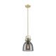 Option Champagne Bronze / Light Smoke