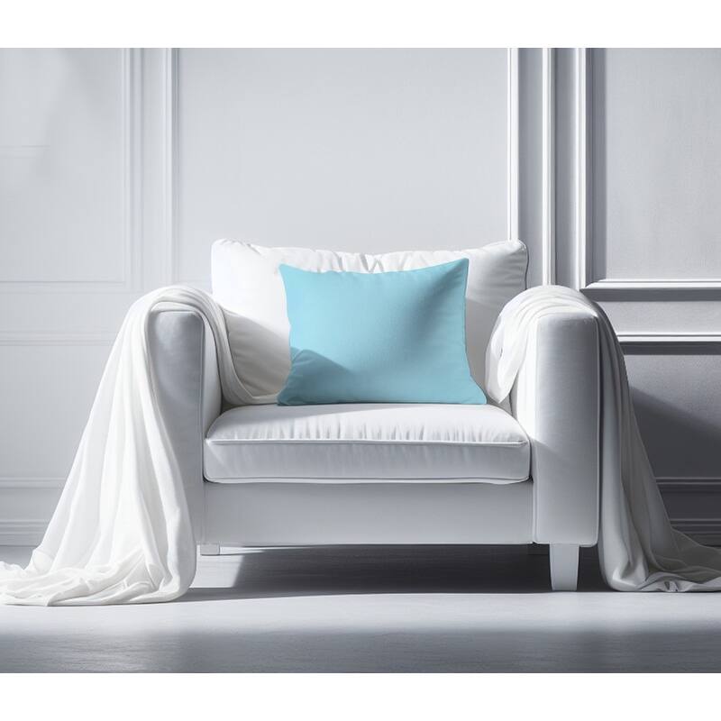 A1HC Velvet Throw Pillow Insert, Hypoallergenic Down Alternative Fill, Pack of 1
