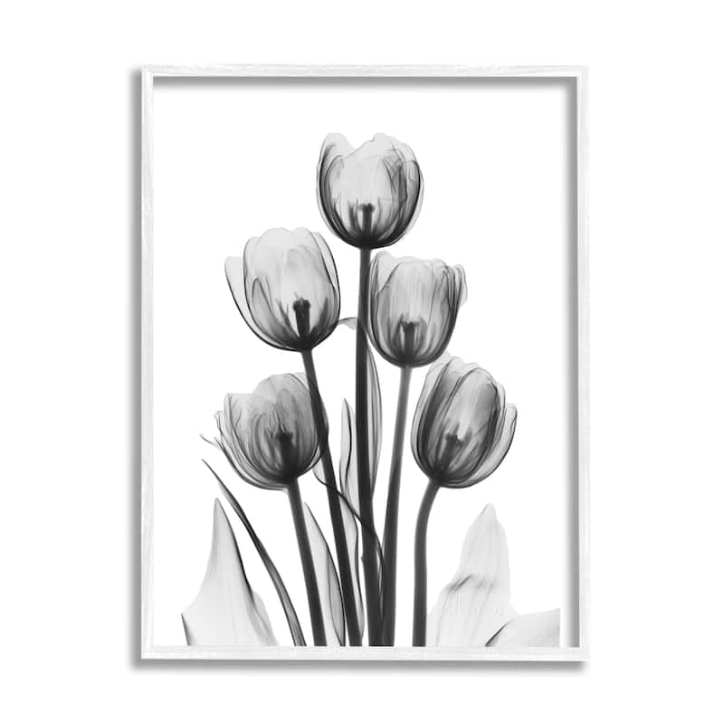 Stupell Abstract Flower Silhouette Monochrome Tulips Design Framed Wall Art - White - 24 x 30 - White