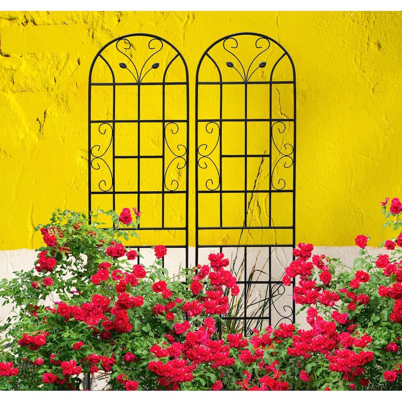 2 Pack Metal Garden Trellis Rustproof Trellis for Climbing Plants Outdoor Flower Support Black