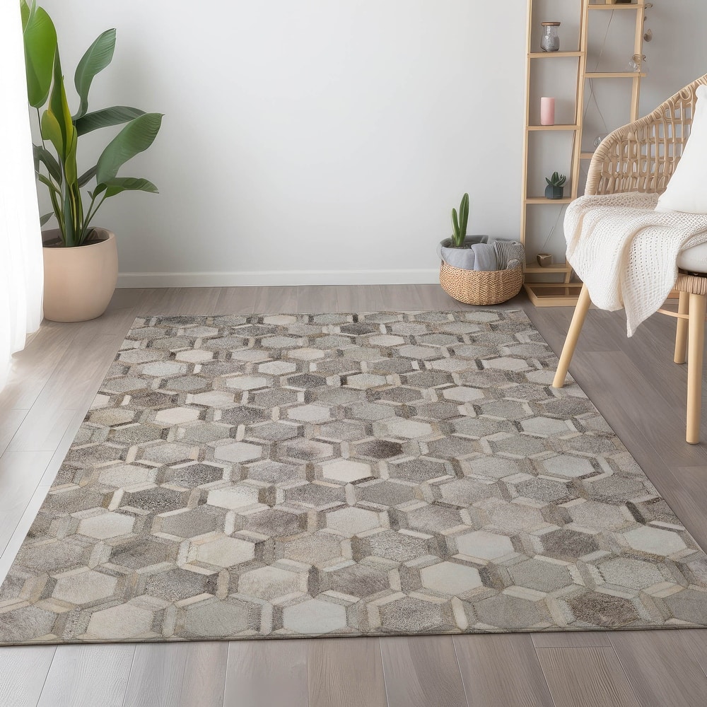 Premium Washable Super Soft Traditional Casual Mayfield Rug