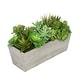 preview thumbnail 6 of 10, Faux Succulent Garden in Wood Washed Ledge Planter