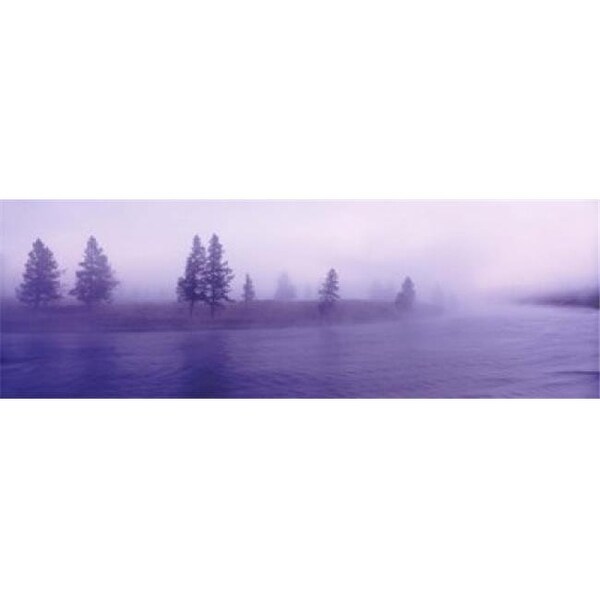Usa Wyoming View Of Trees Lining A Misty River Poster Print By