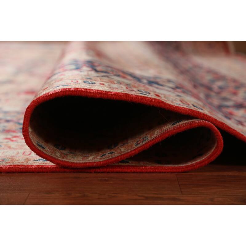 Vegetable Dye Ziegler Rug Handmade Traditional Wool Carpet - 9'0"x 12'2"
