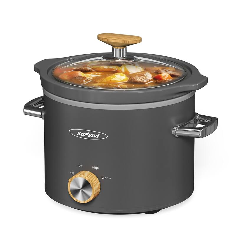 2 Quart Slow Cooker with 3 Heating Settings