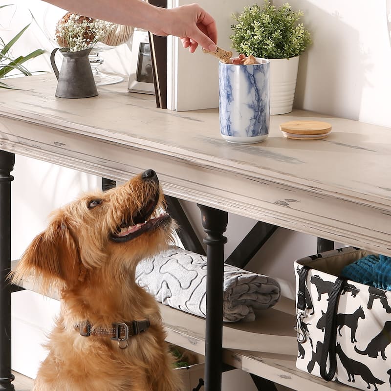 Bone Dry Ceramic Treat Canister