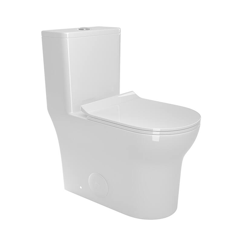 Dual Flush Elongated One-Piece Toilet