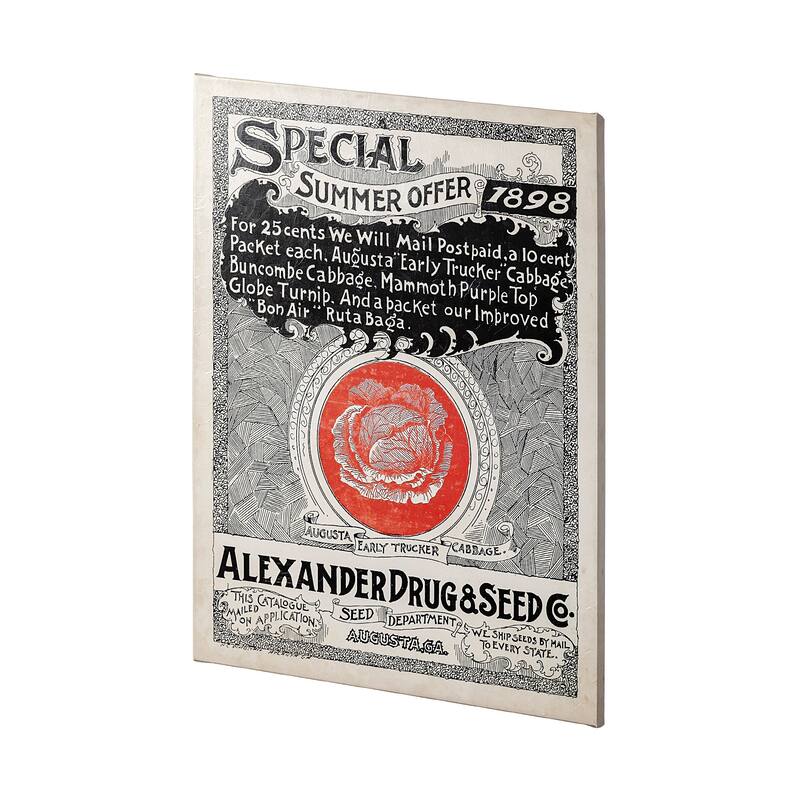 Antique Seed Packet XIIII (40 x 55) Canvas Art Print