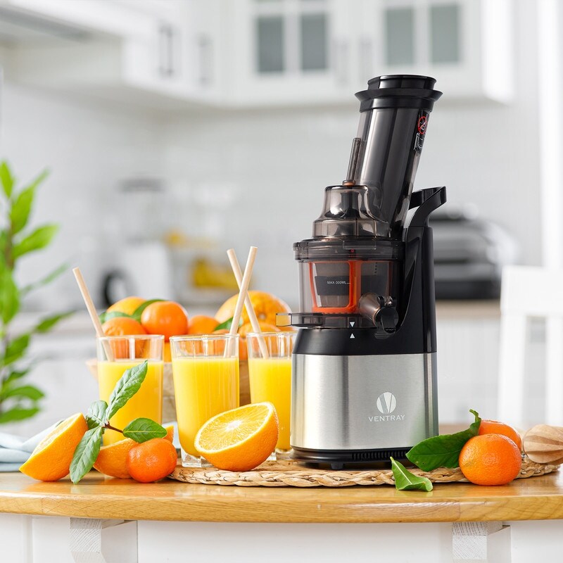 Ventray Slow Press Masticating Juicer