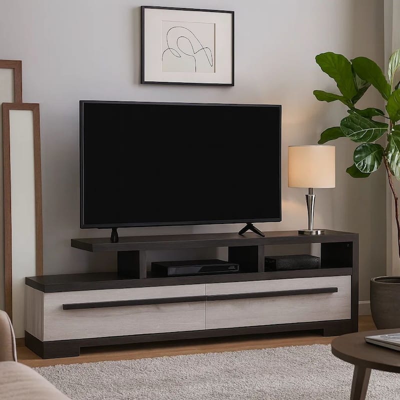 Ruthe TV Stand Media Cabinet with 2 Drawers, Shelves, Black and White Wood