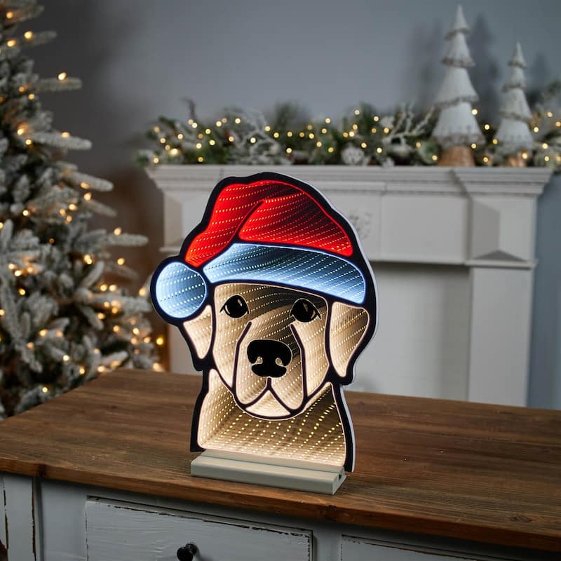 LED Lighted Dog with Santa Hat Christmas Infinity Mirror - 16.5"