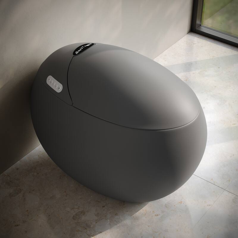 Plaisir Smart One-Piece 1.28 Gpf Single Flush Toilet In Matte Gray
