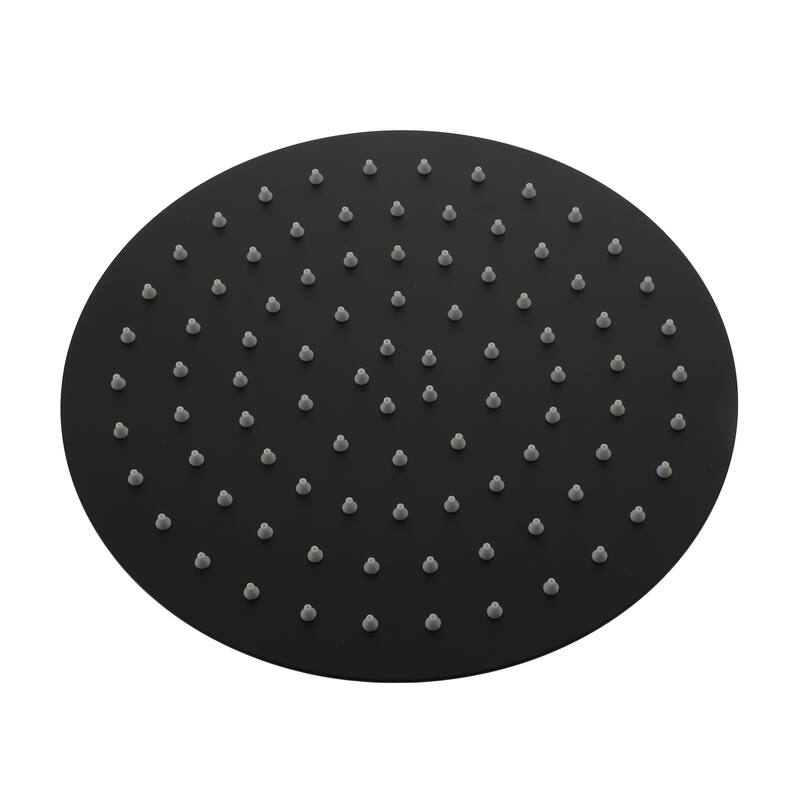 1-Spray Pattern with 2.5 GPM Round Ceiling Mount Rain Fixed Shower Head