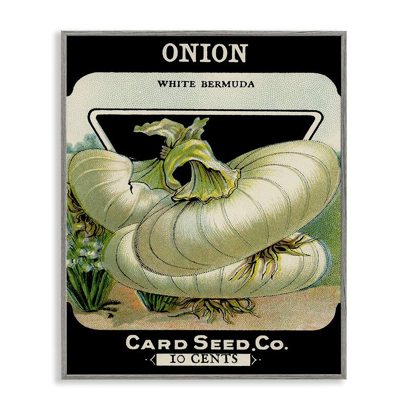 Stupell Vintage Garden Onion Framed Giclee Art Design By Lil' Rue - 16 x 20 - Grey