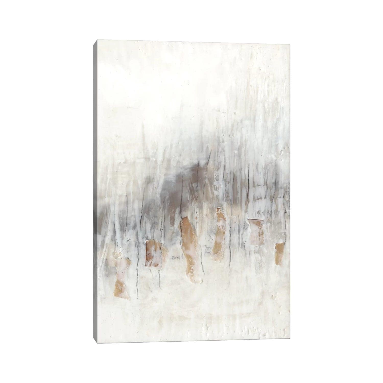 iCanvas "Neutral Wave II" by Jennifer Goldberger Canvas Print