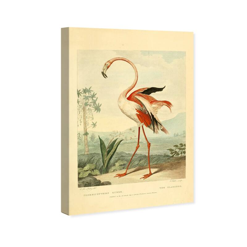 Wynwood Studio Canvas Animals Flamingo Vintage White and Cream White Traditional Wall Art Canvas Print