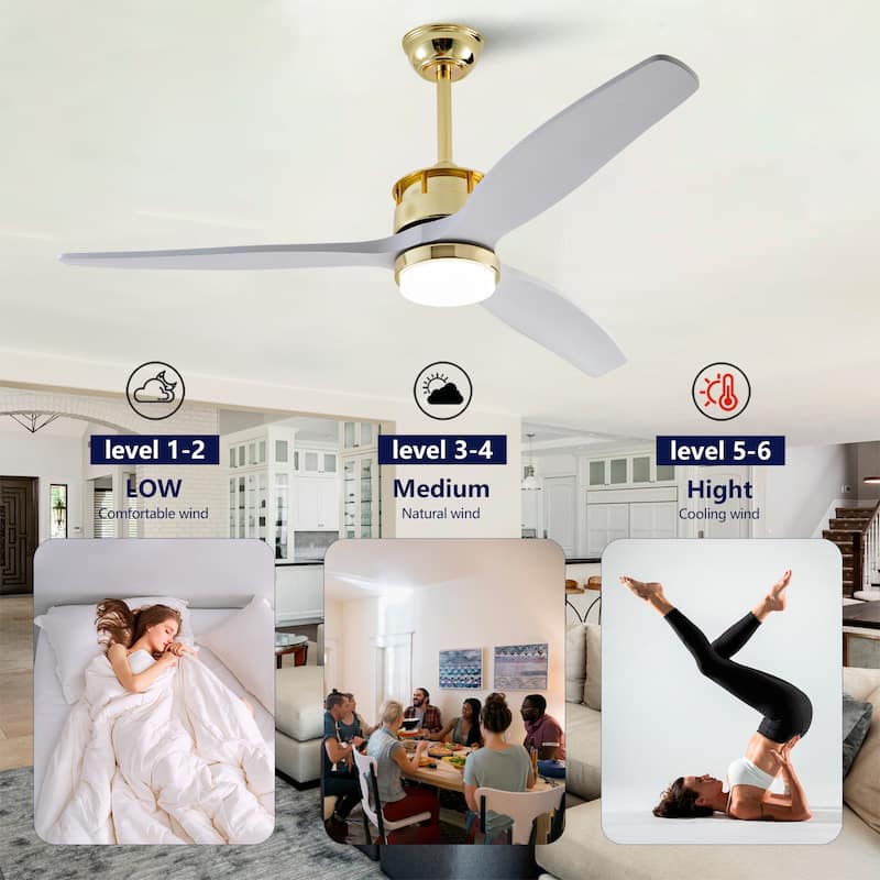52 Inch White and Gold Ceiling Fans with Lights and Remote, 3 Solid Wood Blades, 6 Speeds, Quiet DC Motor - Gold+White