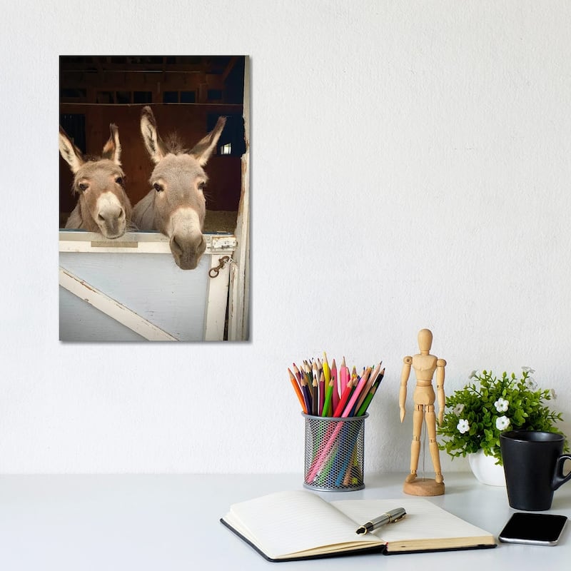 iCanvas "Pair Of Donkeys" by Susan Vizvary Canvas Print - 12x8x0.75
