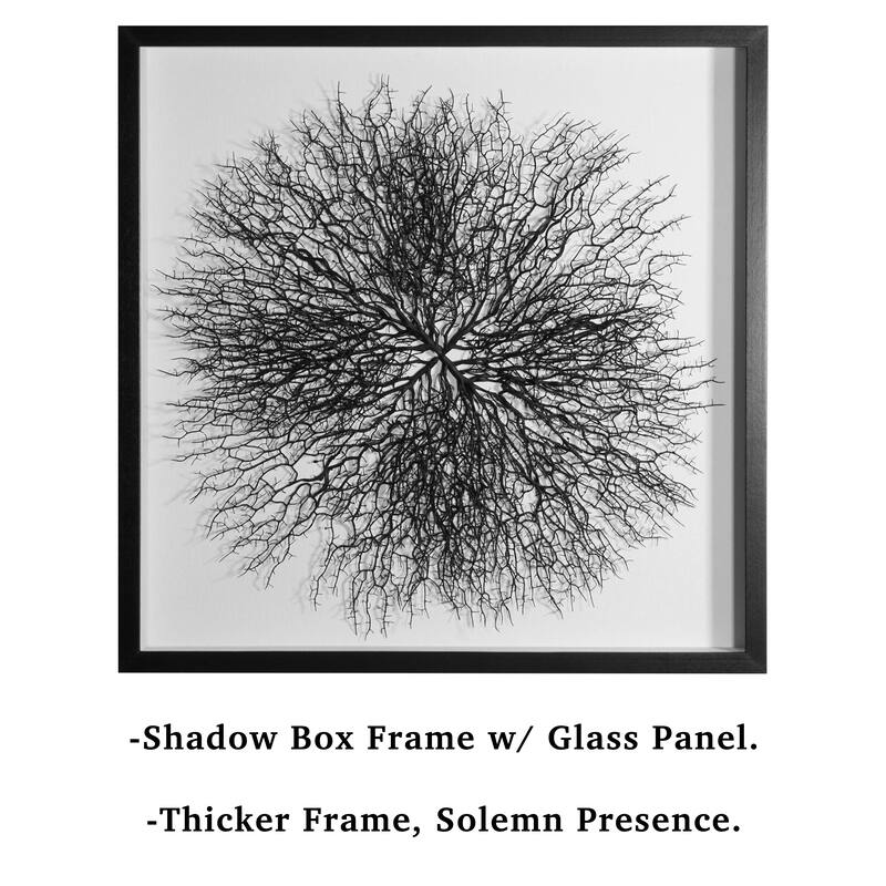 HUJI Roots On Linen Wall Art Decorative Accent