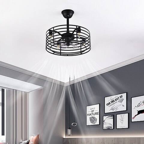 20 '' Caged Ceiling Fan with Remote Control and Light Kit