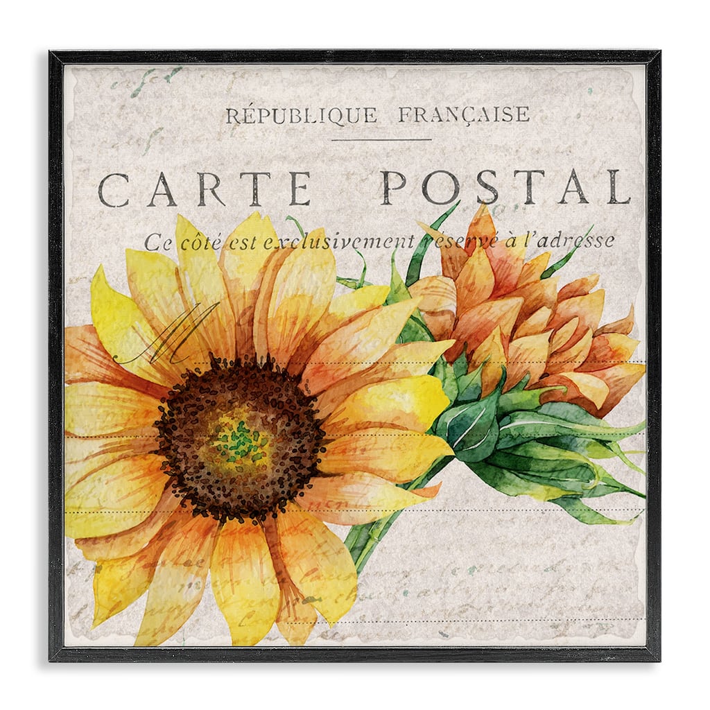 Stupell Vintage French Sunflower Postcard Floral Illustration Framed Wall Art, 12x12