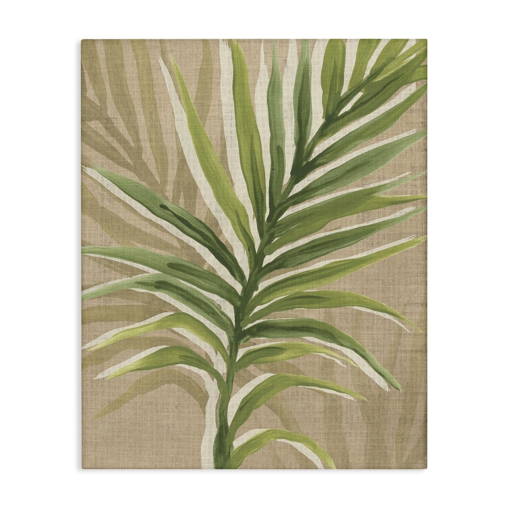 Stupell Rustic Palm Plant Canvas Wall Art Design By June Erica Vess