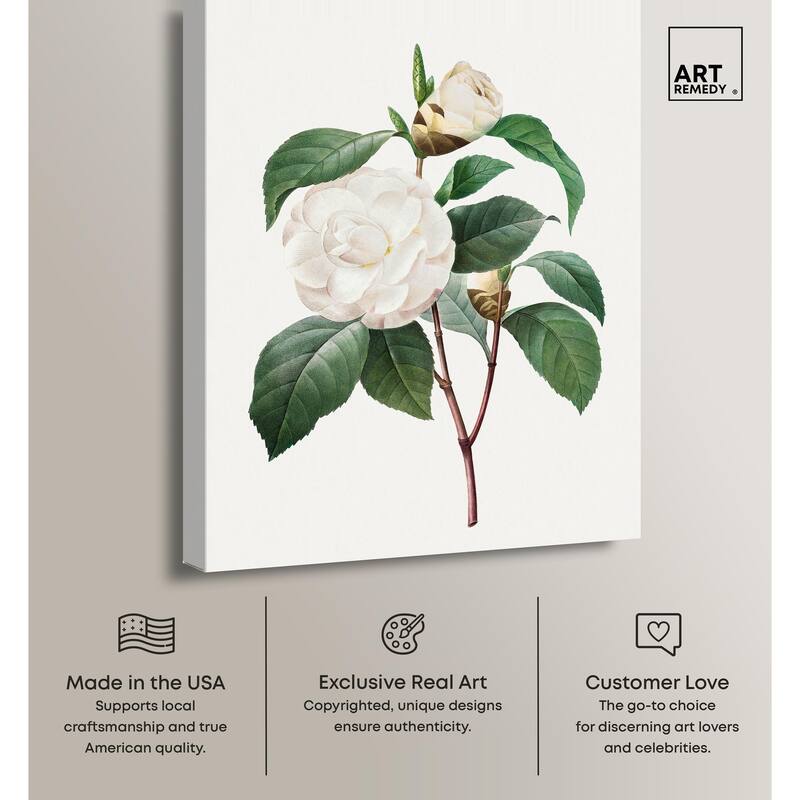 White Camellia Canvas by Art Remedy, Gallery Wrapped