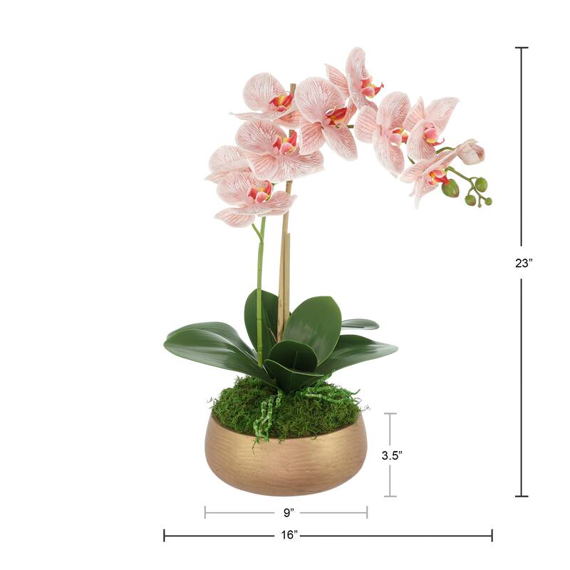 Orchid Arrangement in Fiberstone Planter - 23