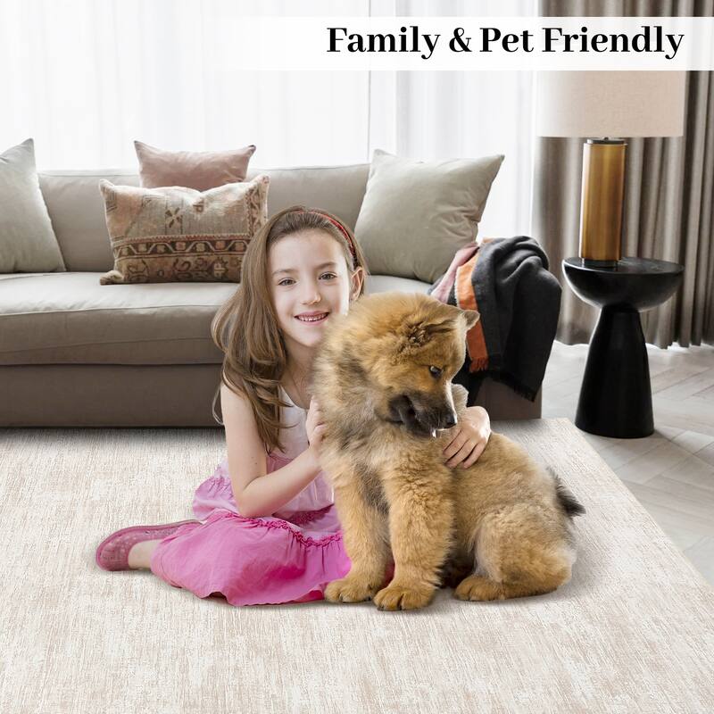Rugs for Living Room Modern Abstract Area Rug Non-Slip Low Pile Accent Rug Soft Foldable Solid Rug
