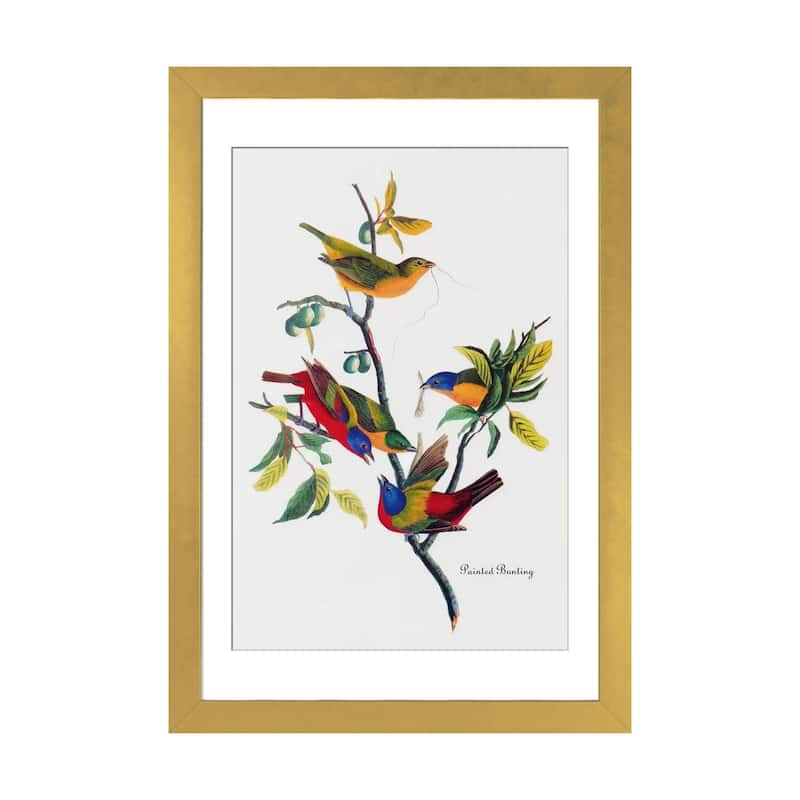 iCanvas "Painted Bunting" by John James Audubon - Gold - 24x16x1