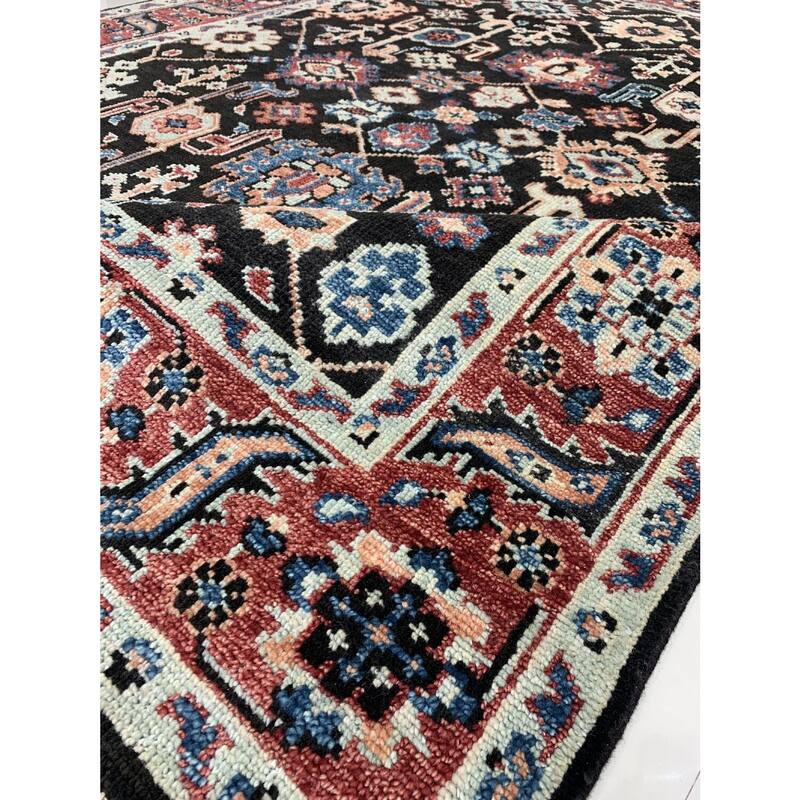 C.Brown/R.Red Hand Knotted Wool Traditional Serapi Rug, 9' x 12', soft cozy area accent - L