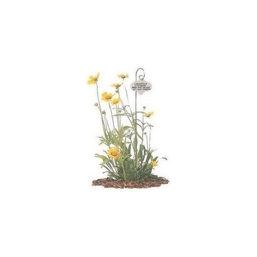 Bosmere H420 Bulk Wren Stainless Steel Garden Markers Pack Of 120 Bosmere H420 Bulk Wren Stainless Steel Garden Markers Pack Of 120 Free Shipping Today 27091609