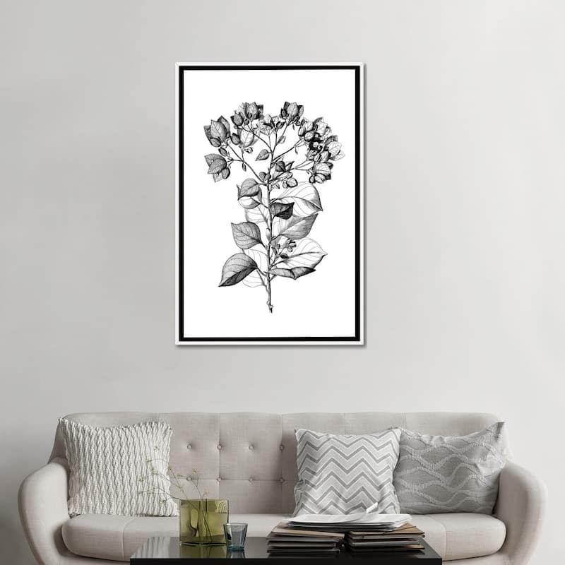 iCanvas "Botanical Black And White I" by Kelly Donovan Framed
