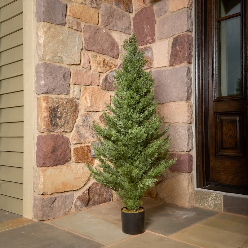 48" Uv Potted Arborvitae Tree