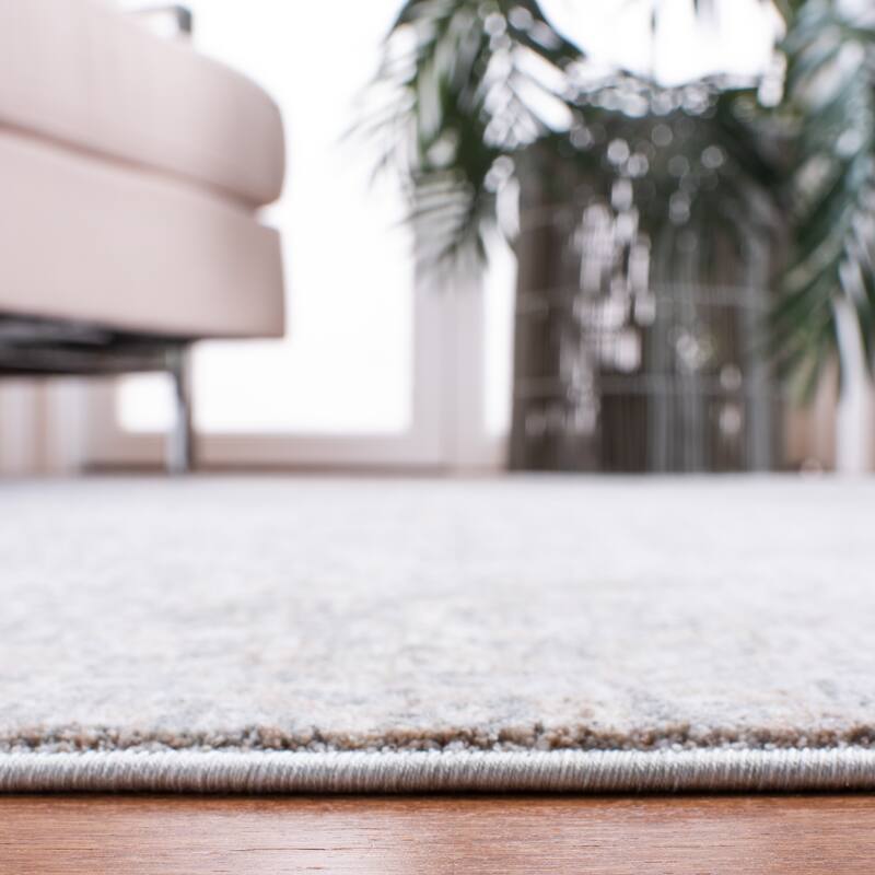 SAFAVIEH Webster Myra Vintage Rug
