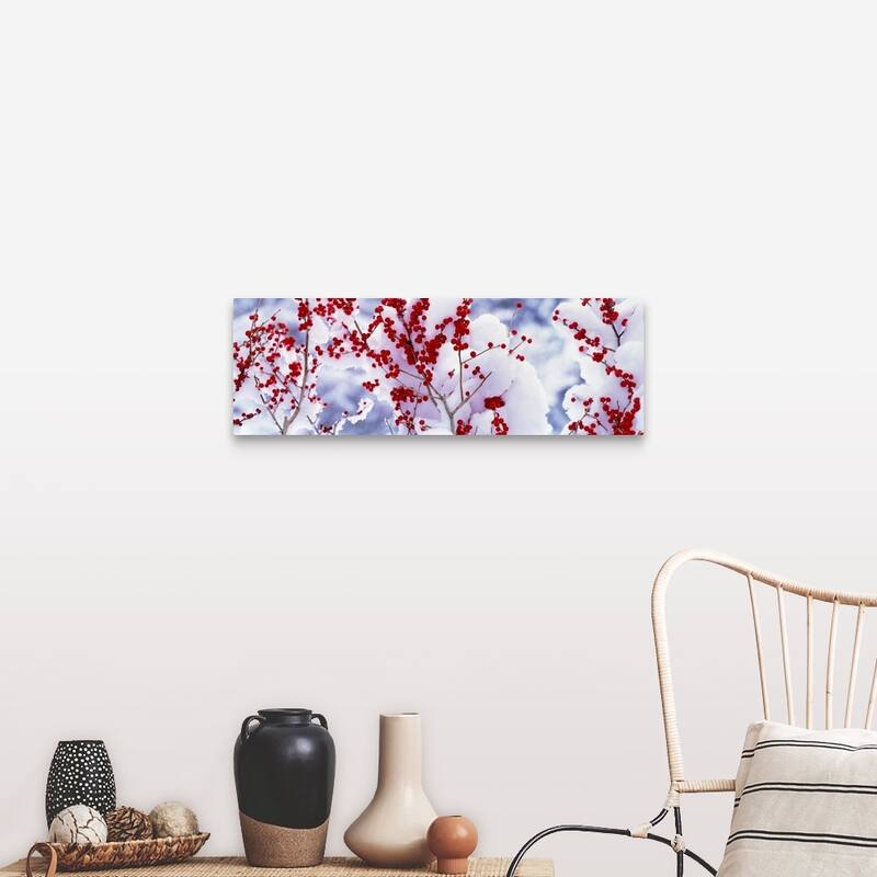 "Snow w/fruit tree Keihoku-Cho Kyoto Japan" Canvas Wall Art - 36 x 12