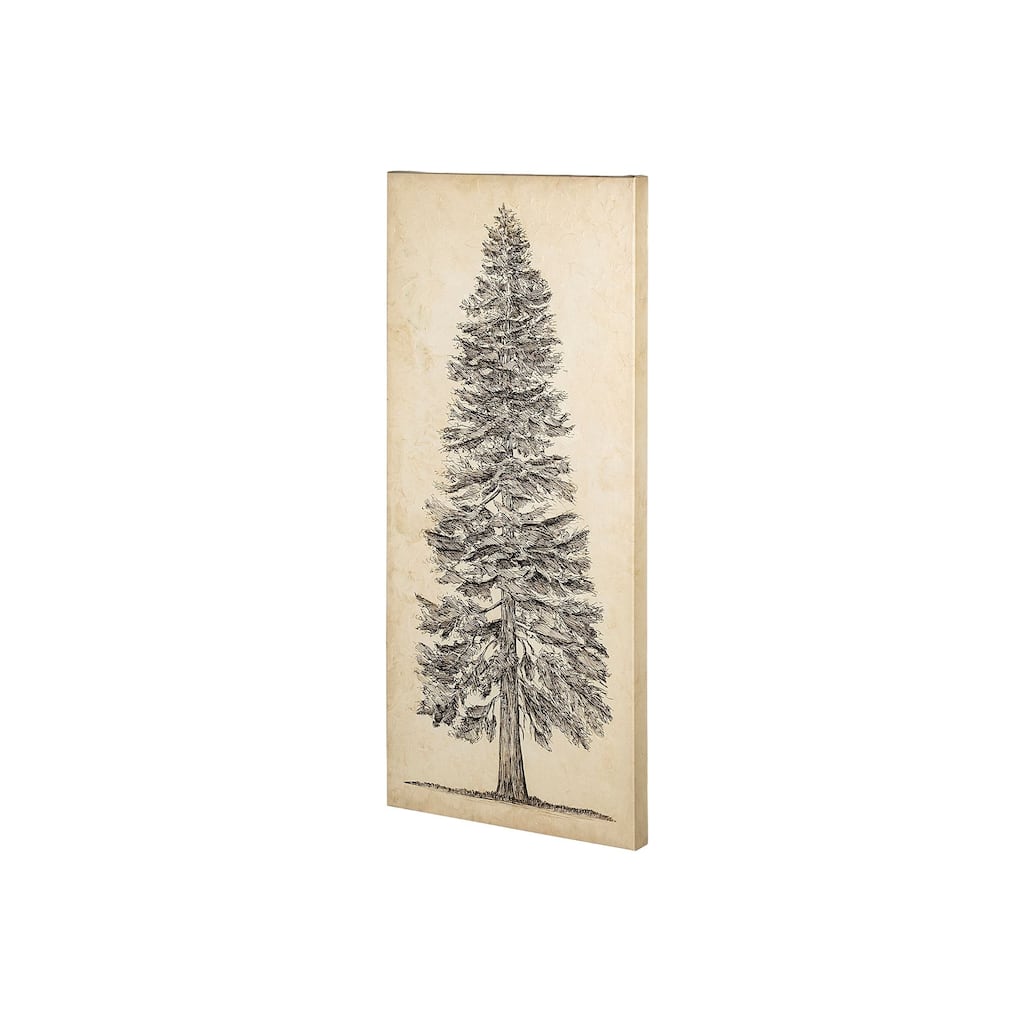 Pacific Northwest Tree Sketch I Canvas Art Print