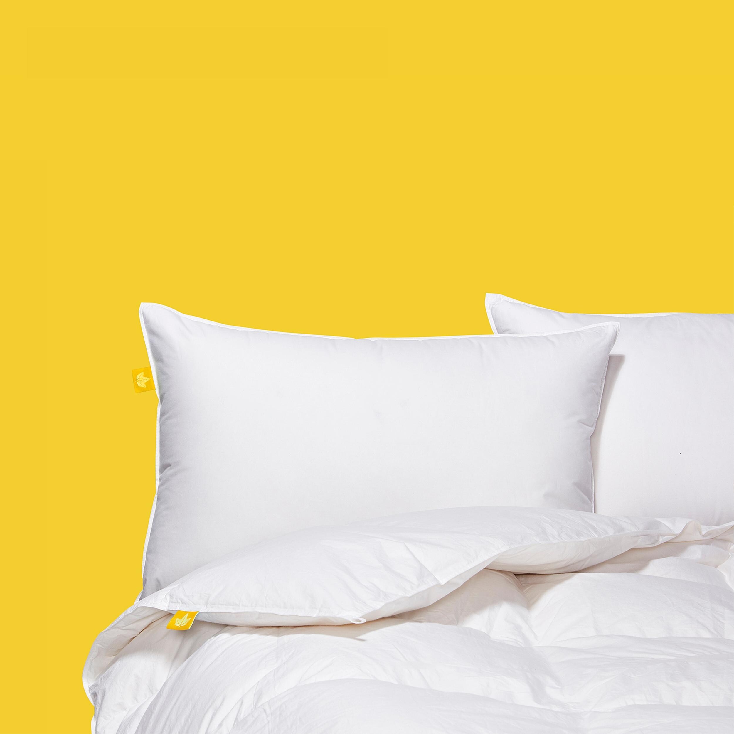 Canadian Down Feather Company Down Perfect White Feather Down