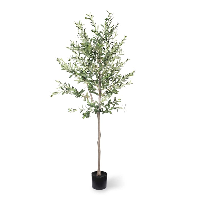 6FT Artificial Olive Tree in Black Plastic Pot, 1pc/set