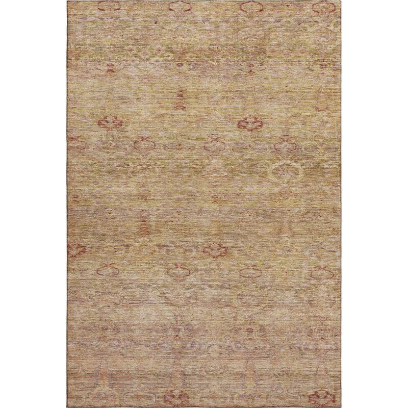 Premium Washable Super Soft Vintage Traditional Mayfield Rug