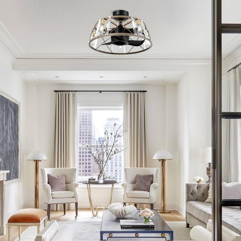 23" Modern Black DC Motor 5 Blades Caged Ceiling Fan with Light and Remote