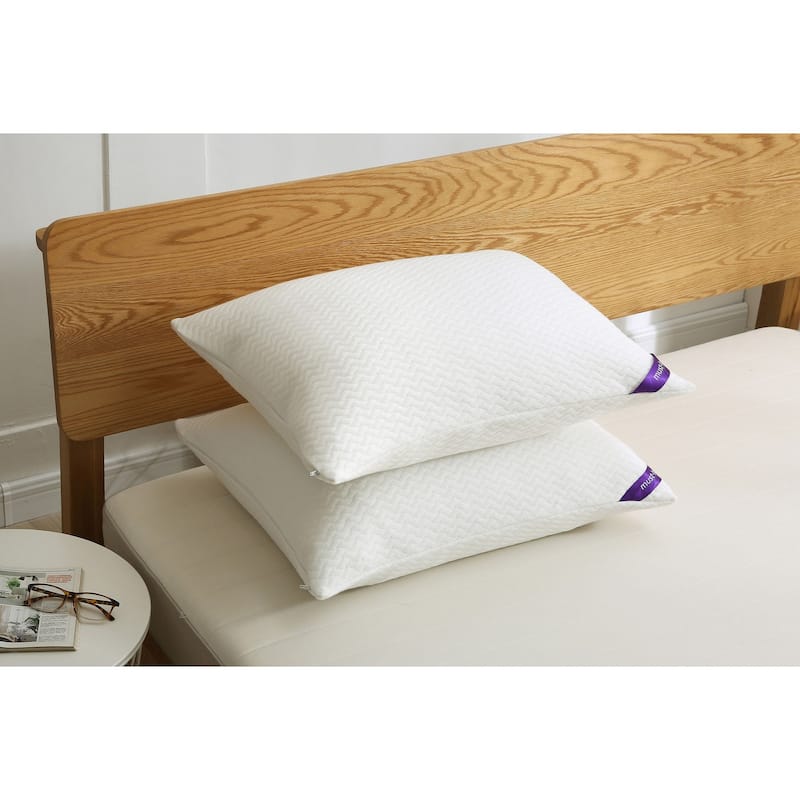 St. James Home Soft Knit Silver Duck Nano Feather Pillows (Set of 2)