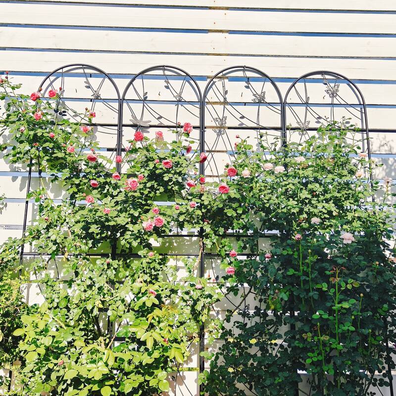 4 Pack Metal Garden Trellis