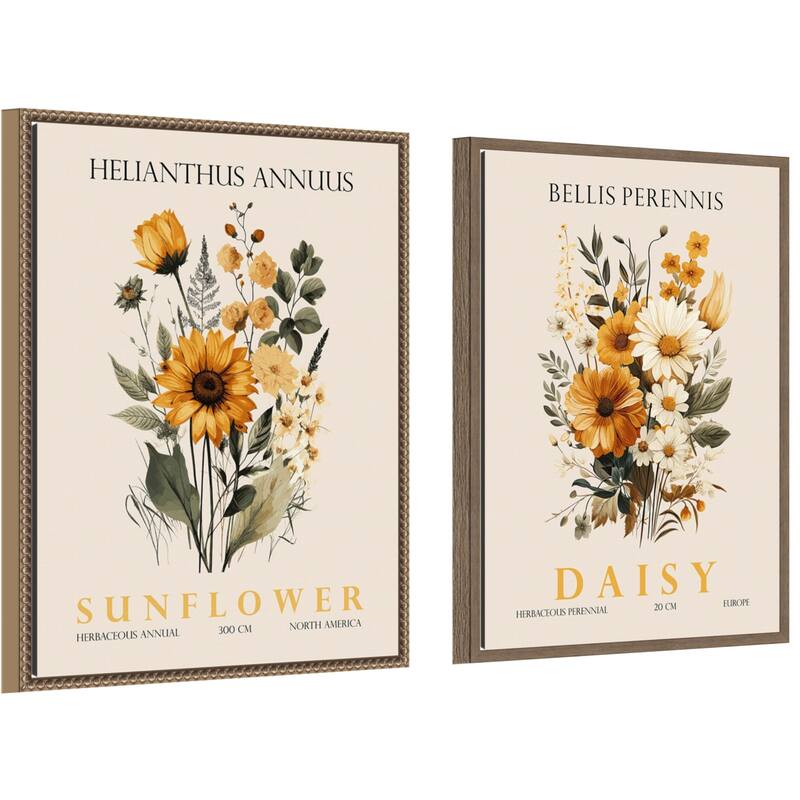 Amanti Art Vintage Sunflower & Daisy 2 Piece by Christopher Giampietro Framed Canvas Wall Art