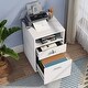 preview thumbnail 18 of 19, 2 Drawer Mobile File Cabinet with Lock, Filing Cabinet Printer Stand for Letter Size