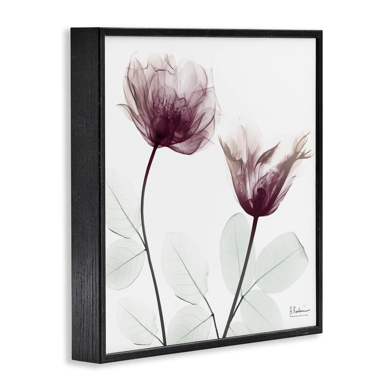 Stupell Minimalist Translucent Flowers Framed Giclee Art Design By Albert Koetsier